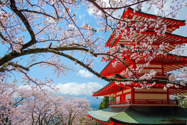 Nyaralás 2020 - japán