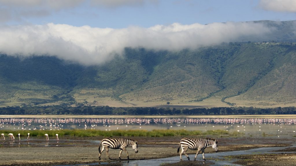 Utazások, kalandok - Ngorongoro